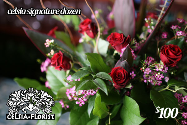 celsia signature dozen