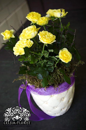 vancouver flower arrangement