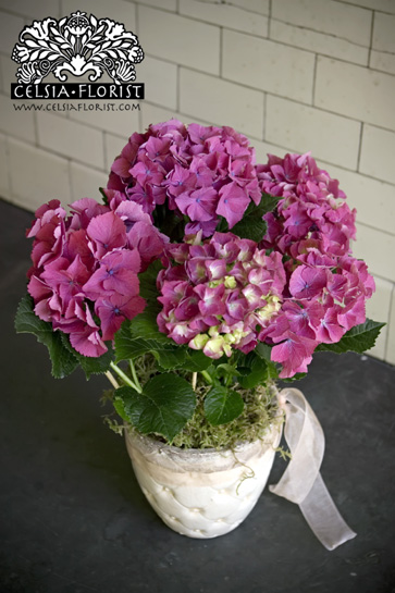 vancouver flower arrangement