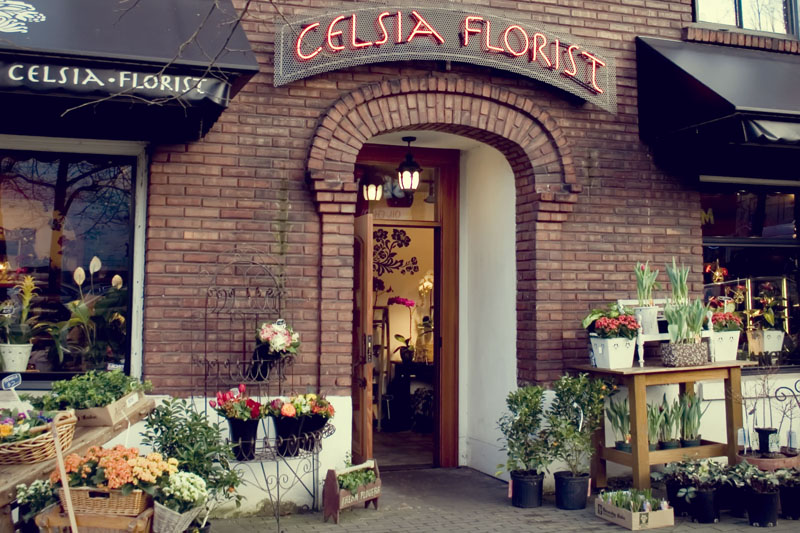 Vancouver Flowers, by Celsia Florist
